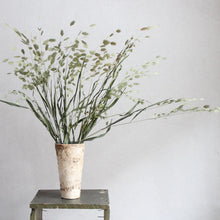 Load image into Gallery viewer, Sea Oats | Preserved Florals
