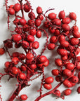 Holiday Canella | Red | Dried Florals