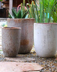 Provencial Outdoor Barrel Planter