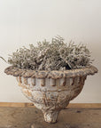 Patinated Cast Iron Scalloped Garden Urn