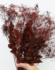 Smoke Bush | Red | Dried Florals