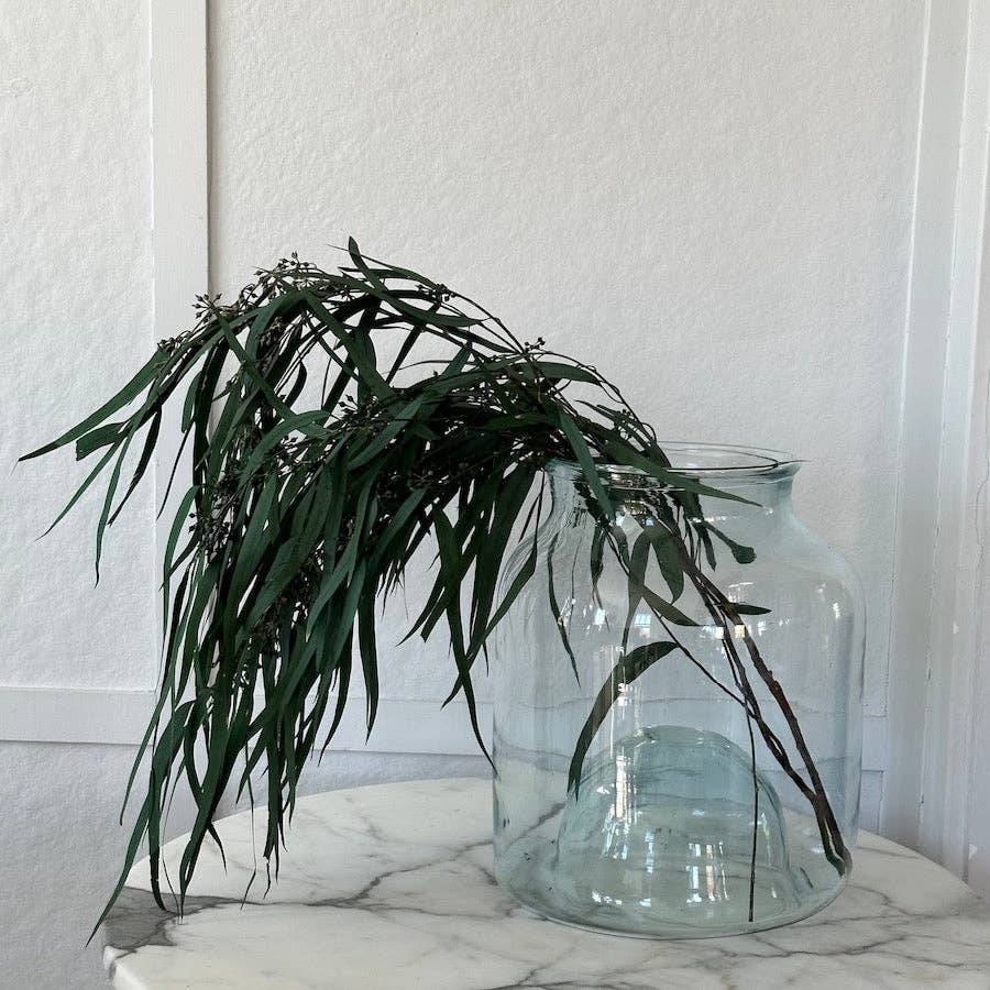 Seeded Feather Willow | Preserved Florals