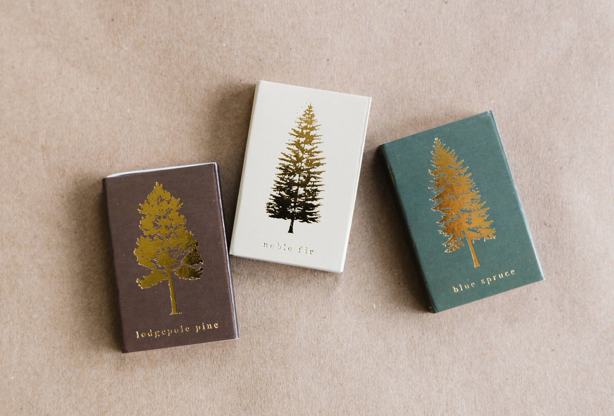 Noble Fir Tree | Cream + Gold Matchbook