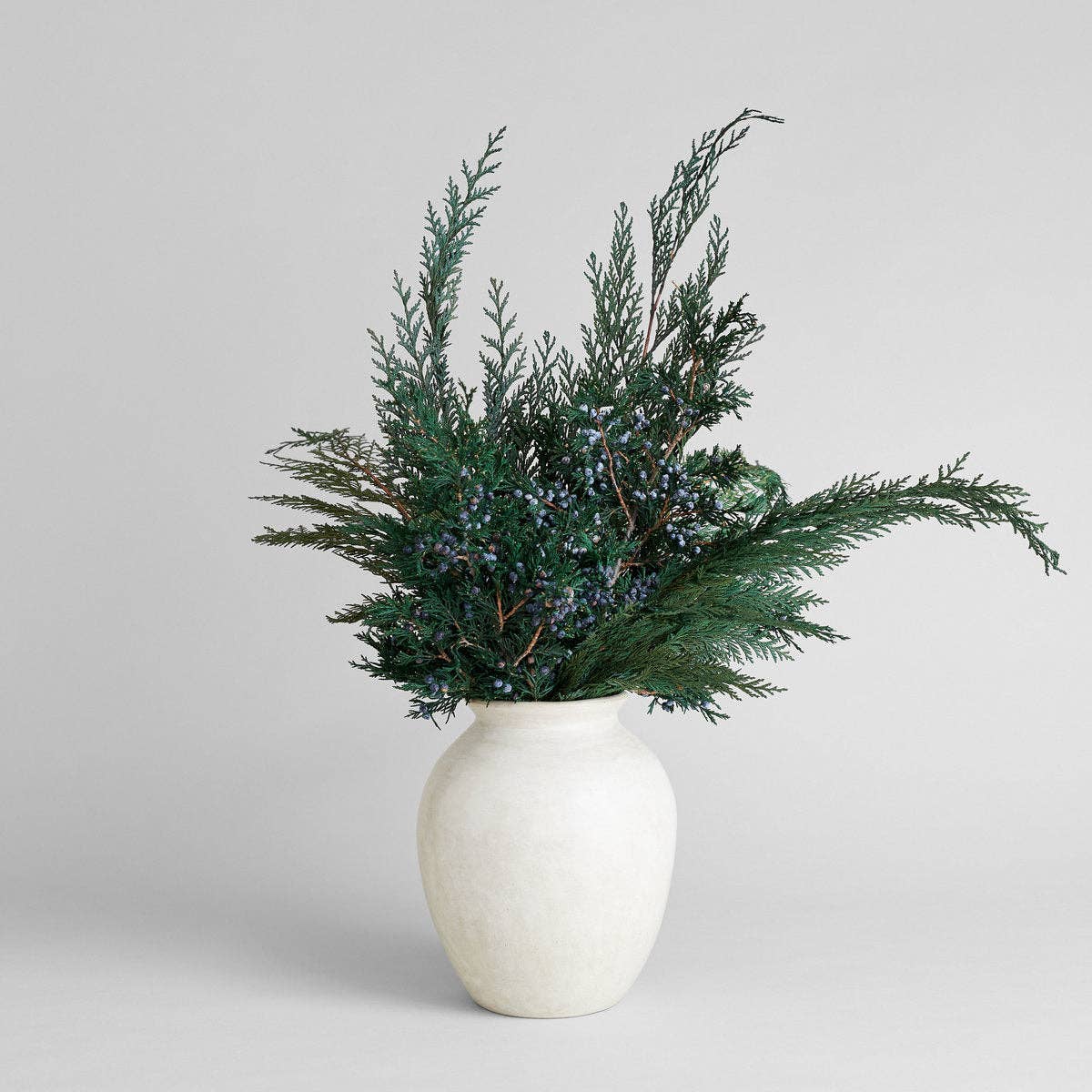Juniper Stems With Berries | Preserved Florals