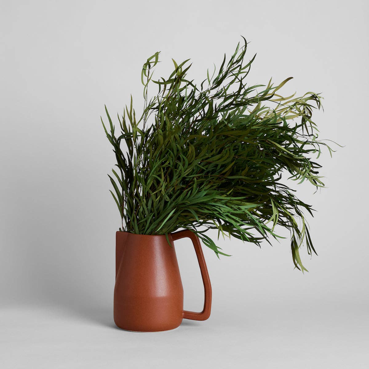 Seeded Feather Willow | Preserved Florals