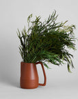 Seeded Feather Willow | Preserved Florals