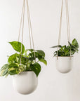 Arched Hanging Planters | Stoneware