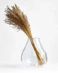 Chorao Grass Bundle