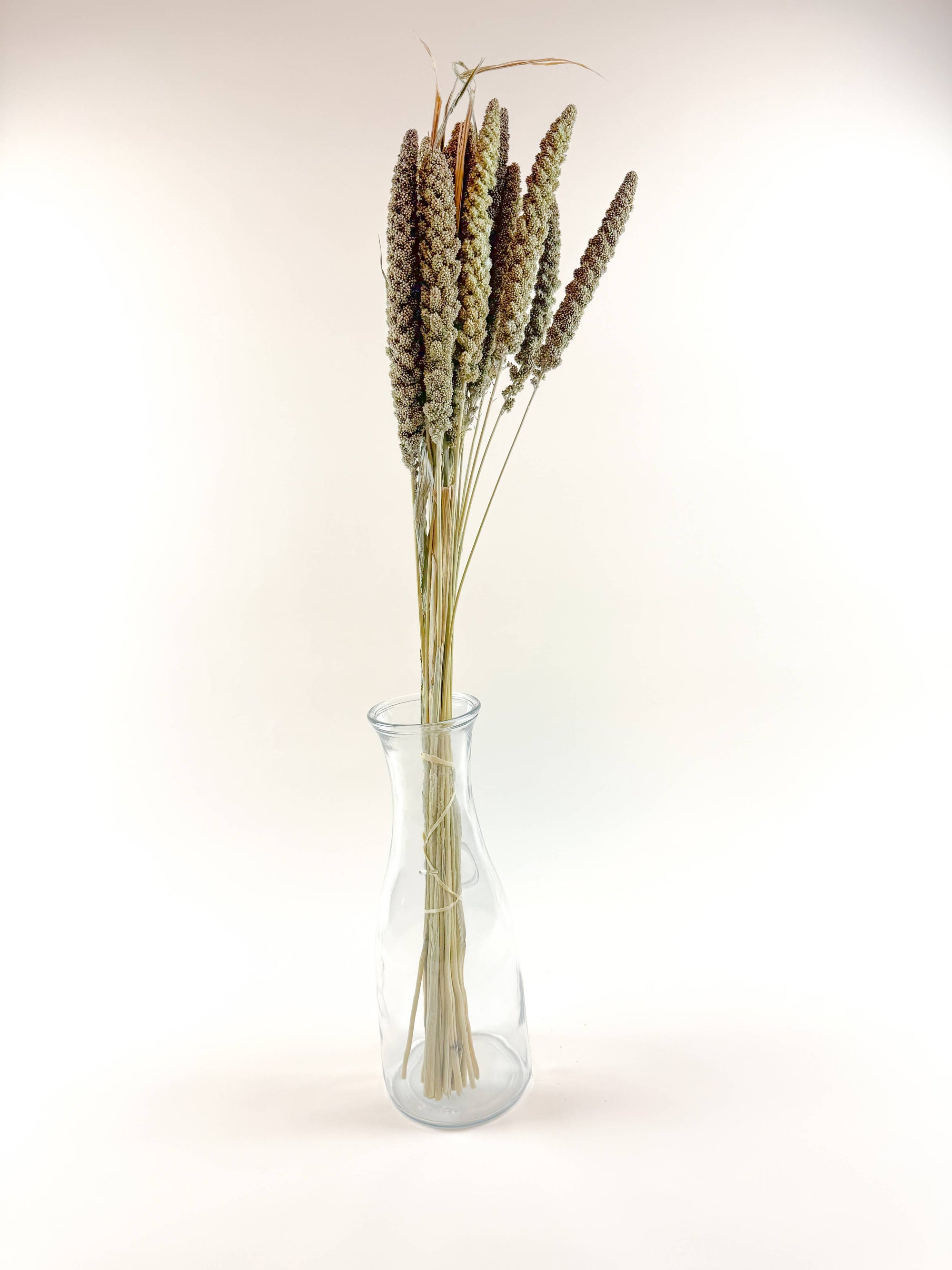 Hilander Grass – Natural Dried Brown &amp; Green Stems
