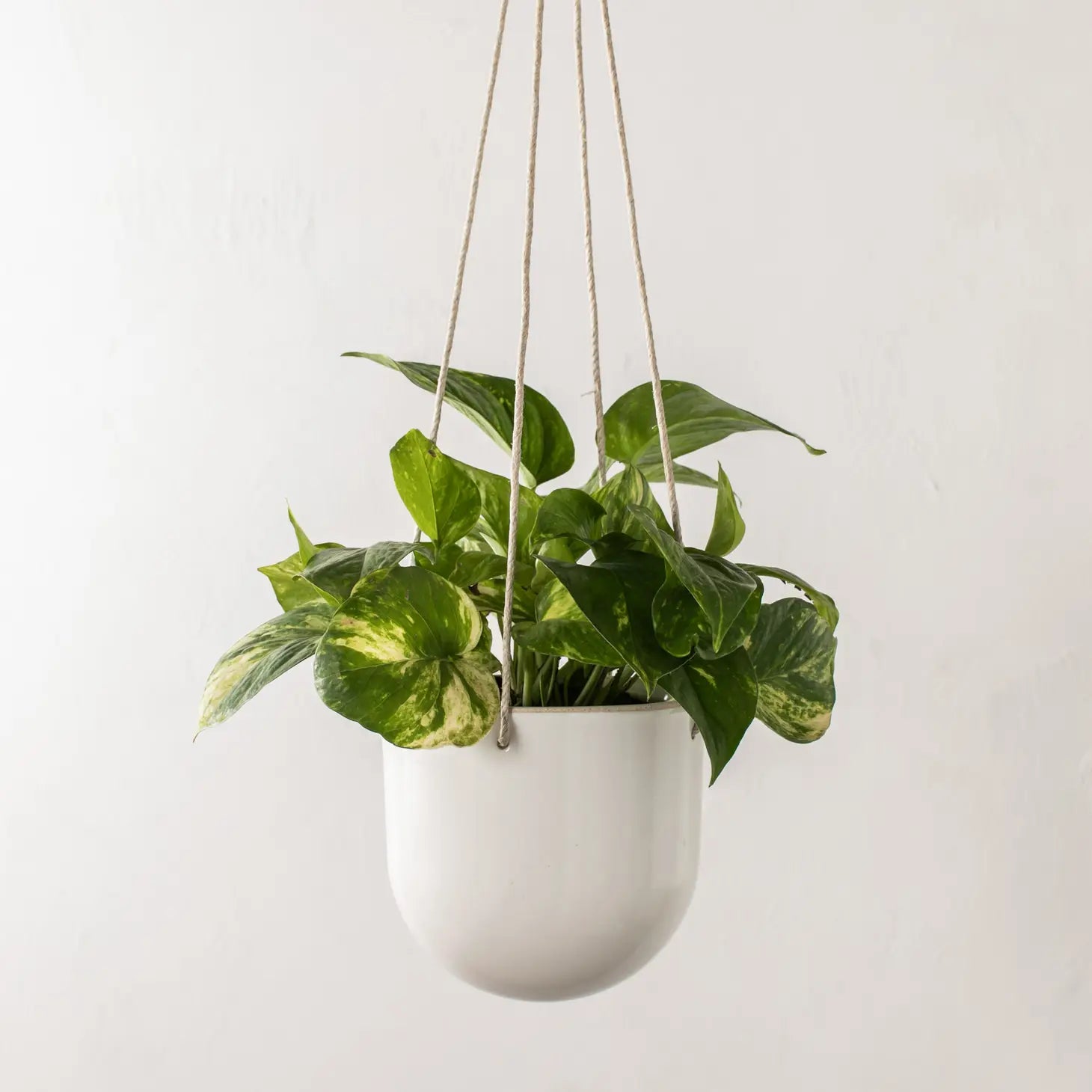 Arched Hanging Planters | Stoneware