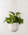 Arched Hanging Planters | Stoneware