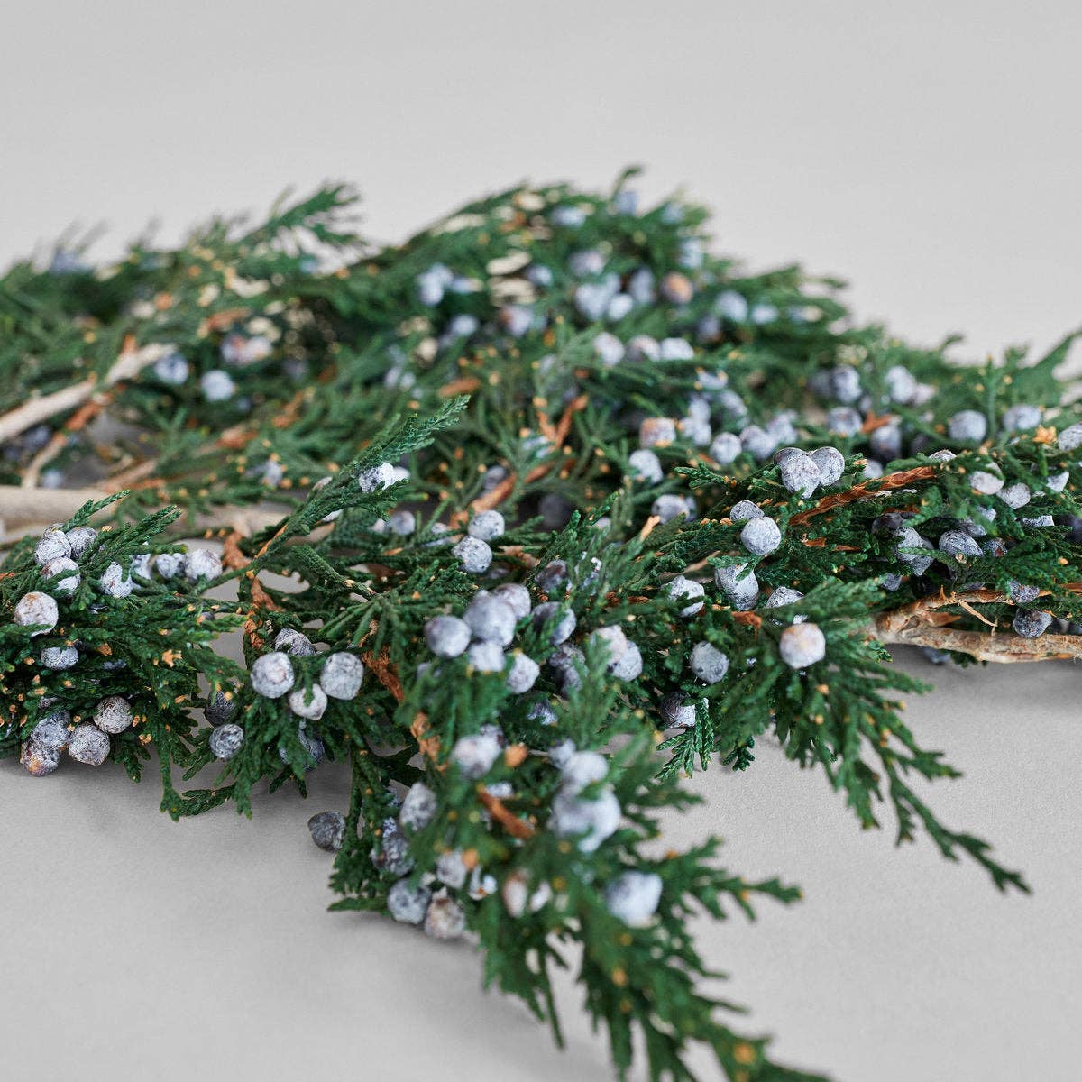 Juniper Stems With Berries | Preserved Florals