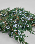 Juniper Stems With Berries | Preserved Florals