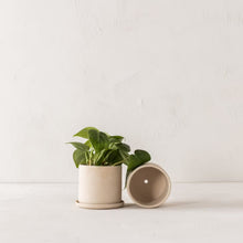 Load image into Gallery viewer, Minimal 4&quot; Planter | Raw Stoneware
