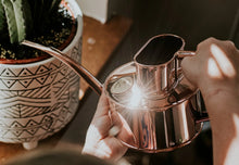 Load image into Gallery viewer, The Fazeley Flow | Copper 1 Pint Watering Can
