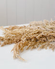 Wild Oats