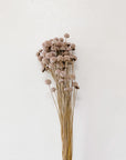 Floral Buttons | Gray