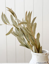 Load image into Gallery viewer, Eucalyptus Foliage
