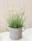 Vintage Galvanized Planter | Drum Bucket