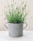 Vintage Galvanized Planter | Drum Bucket