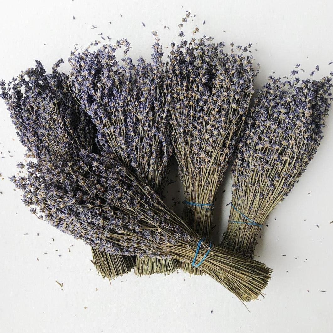 Locally Harvested English Lavender
